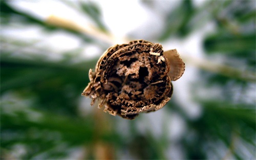 购房合同多少年受法律保护,没有房产证只有购房合同受法律保护吗