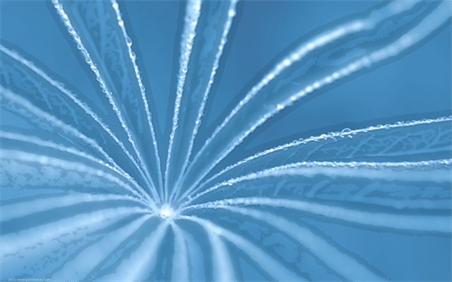 赖账，赖账问题怎么处理